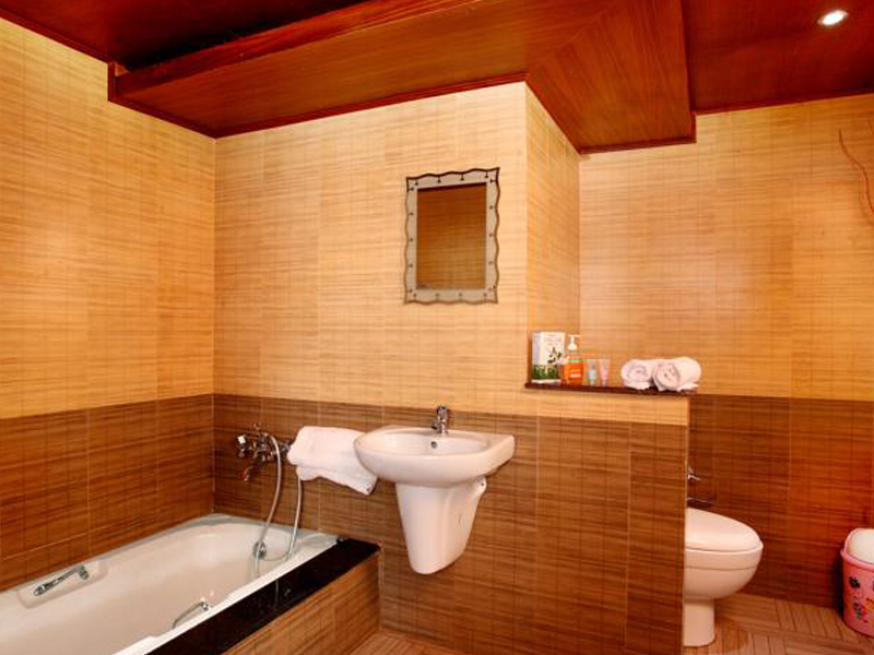 Luxury houseboats in Alappuzha