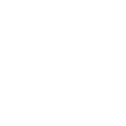 Party houseboats in Alappuzha