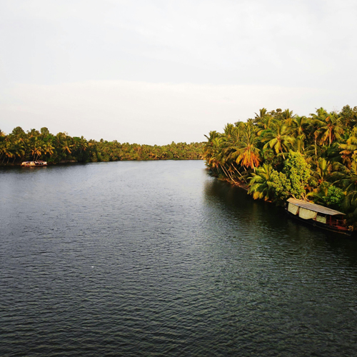 Alleppey Shikara boat ride