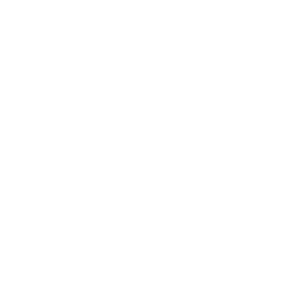 Private honeymoon cruise backwaters