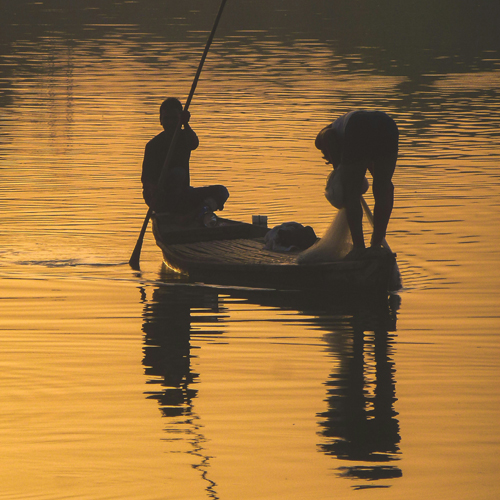 Shikara ride in Alleppey backwaters