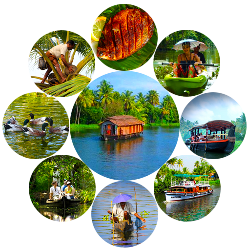 Alleppey backwater cruise